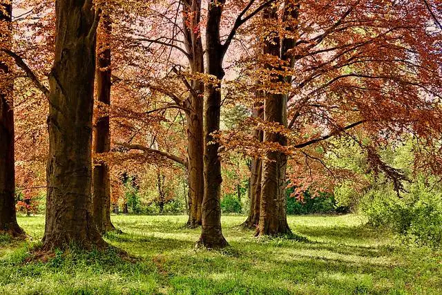 Národný park Plitvické jazerá: Čo všetko ponúka?
