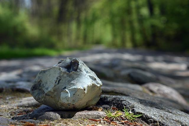 Tipy na ubytovanie a stravovanie počas pobytu na Selce plaži